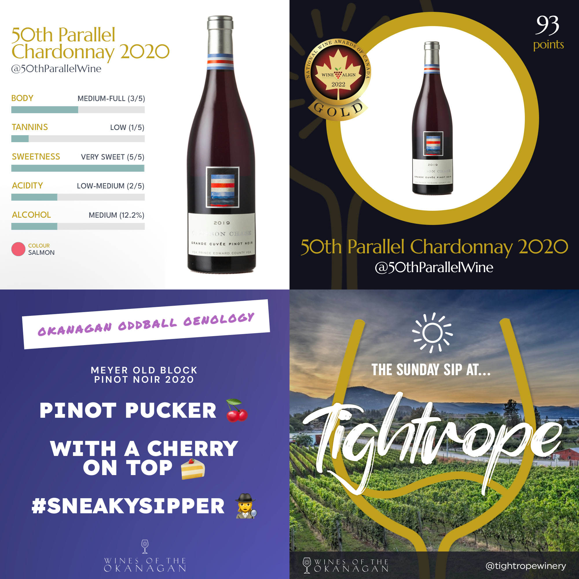 Four generated Instagram posts in a grid: a wine profile card with meter bars for body, tannins, sweetness, acidity and alcohol plus a colour swatch; a bottle inside a gold ring with a WineAlign gold medal and a 93 point score; a gradient tasting-note card; and a weekly winery feature in script over a vineyard at sunrise. All four carry the same Wines of the Okanagan wordmark.